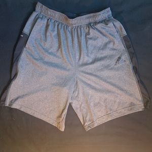 Adidas Grey Shorts